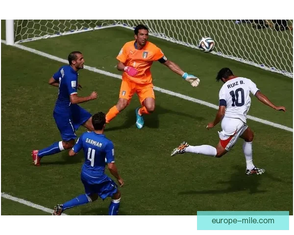 世界杯官方发布全新比赛场地保护措施确保赛事顺利进行